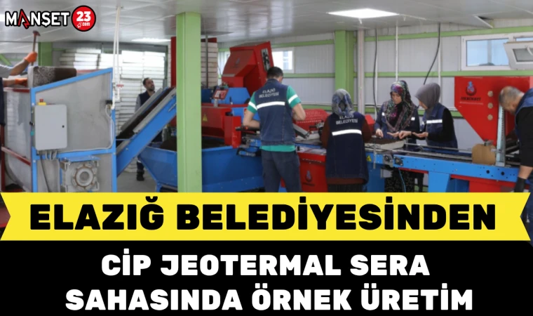 Elazığ Belediyesinden Cip Jeotermal Sera Sahasında Örnek Üretim