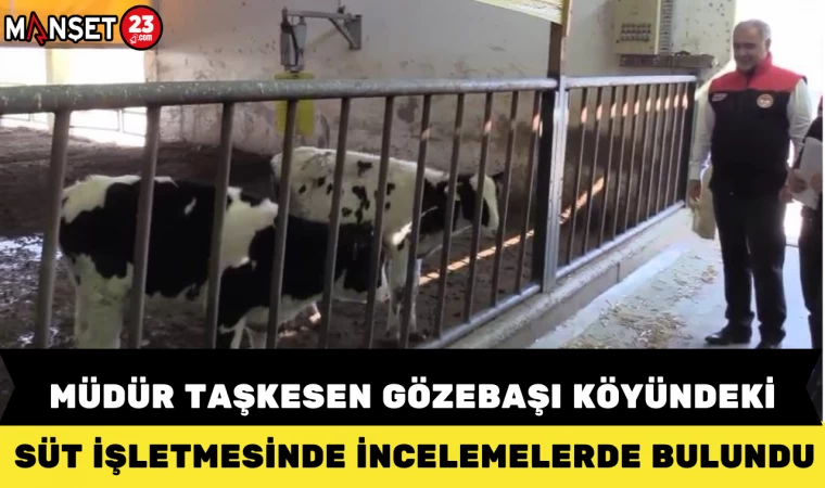 MÜDÜR TAŞKESEN GÖZEBAŞI KÖYÜNDEKİ SÜT İŞLETMESİNDE İNCELEMELERDE BULUNDU