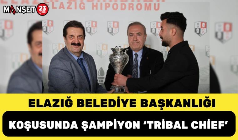 Elazığ Belediye Başkanlığı Koşusunda Şampiyon 'Tribal Chief'