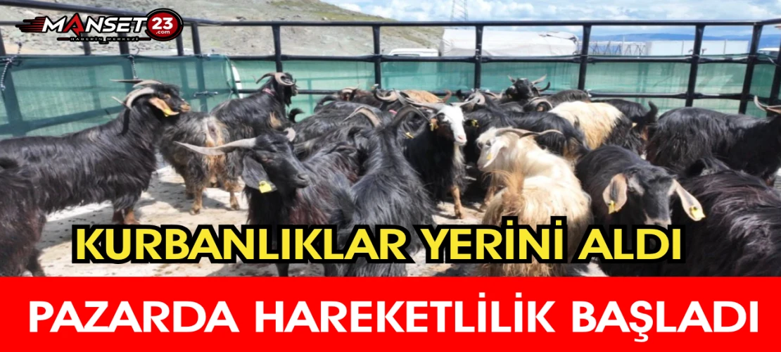 Kurbanlıklar Yerini Aldı, Pazarda Hareketlilik Başladı