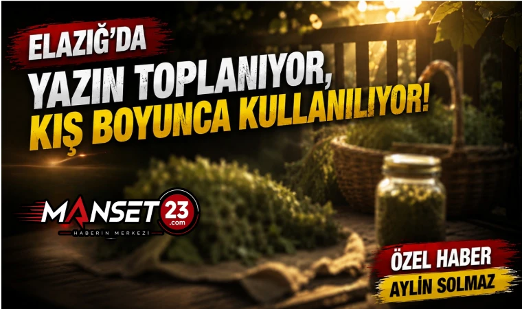 Elazığ’da Yazın Toplanıyor, Kış Boyunca Kullanılıyor!