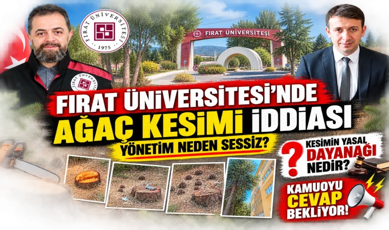 Fırat Üniversitesi’nde Ağaç Kesimi İddiası: Yönetim Neden Sessiz?