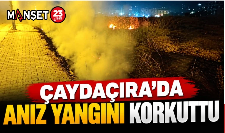 Çaydaçıra’da Anız Yangını Korkuttu