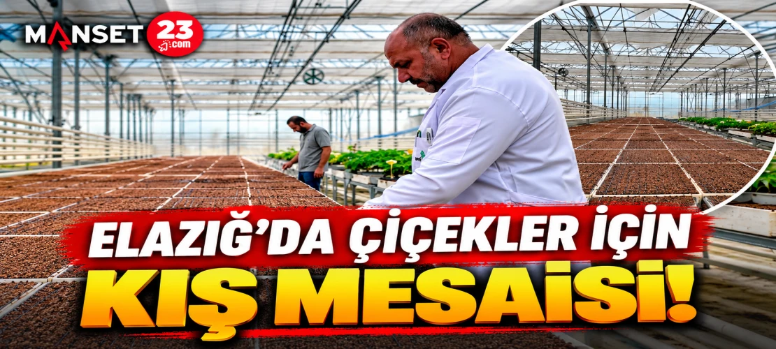 ELAZIĞ’DA ÇİÇEKLER İÇİN KIŞ MESAİSİ!