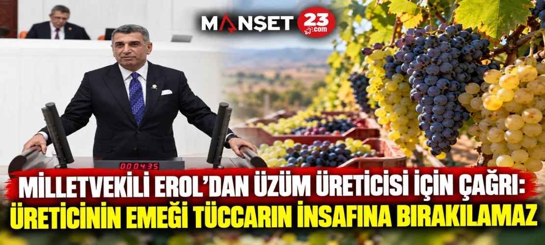 MİLLETVEKİLİ EROL’DAN ÜZÜM ÜRETİCİSİ İÇİN ÇAĞRI: ÜRETİCİNİN EMEĞİ TÜCCARIN İNSAFINA BIRAKILAMAZ