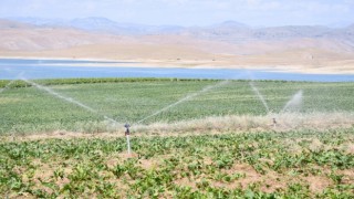 4 ilde 532 bin 512 dekar tarım arazisi sulandı