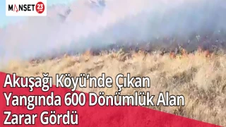 Akuşağı Köyü’nde Çıkan Yangında 600 Dönümlük Alan Zarar Gördü