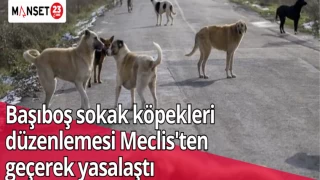 Başıboş sokak köpekleri düzenlemesi Meclis'ten geçerek yasalaştı