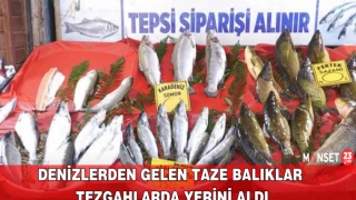 Denizlerden Gelen Taze Balıklar Tezgahlarda Yerini Aldı