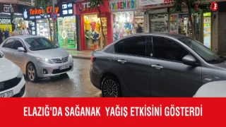 Elazığ'da Sağanak Yağış Etkisini Gösterdi