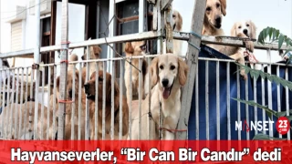 Hayvanseverler, “Bir Can Bir Candır” dedi