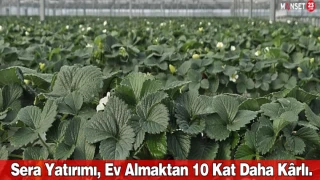 Sera Yatırımı, Ev Almaktan 10 Kat Daha Kârlı.