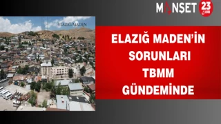 Elazığ Maden’in sorunları TBMM gündeminde