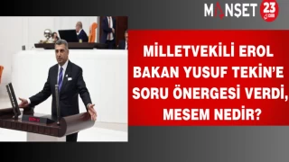 Milletvekili Erol Bakan Yusuf Tekin’e soru önergesi verdi, MESEM nedir?