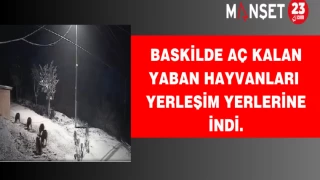 BASKİLDE AÇ KALAN YABAN HAYVANLARI YERLEŞİM YERLERİNE İNDİ