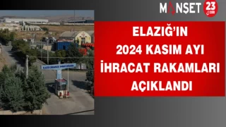 Elazığ’ın 2024 Kasım ayı ihracat rakamları açıklandı