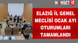 Elazığ İl Genel Meclisi Ocak ayı oturumları tamamlandı