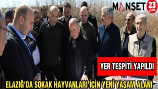 ELAZIĞ'DA SOKAK HAYVANLARI İÇİN YENİ YAŞAM ALANI