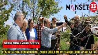 ELAZIĞ'DA ZİRAİ DON NEDENİYLE ZARAR GÖREN MEYVE BAHÇELERİNE ZİYARET