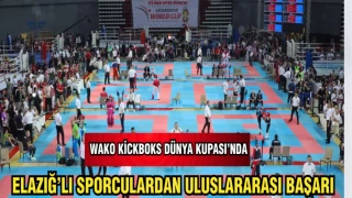 ELAZIĞ'LI SPORCULARDAN ULUSLAR ARASI BAŞARI