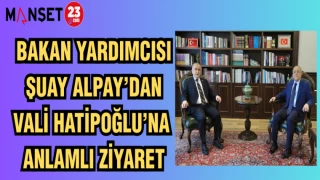 BAKAN YARDIMCISI ŞUAY ALPAY'DAN VALİ NUMAN HATİPOĞLU'NA ANLAMLI ZİYARET