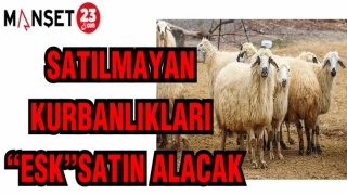 SATILMAYAN KURBANLIKLARI "ESK" SATIN ALACAK