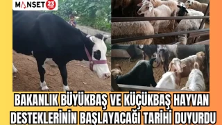 BAKANLIK BÜYÜKBAŞ VE KÜÇÜKBAŞ HAYVAN DESTEKLERİNİN BAŞLAYACAĞI TARİHİ DUYURDU