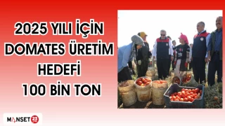 2025 yılı için domates üretim hedefi ise 100 bin ton