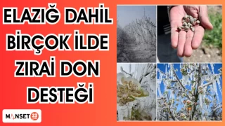 Elazığ dahil birçok ilde zirai don desteği
