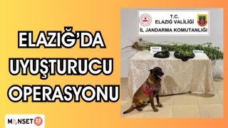 ELAZIĞ'DA UYUŞTURUCU OPERASYONU