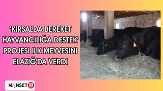 ‘Kırsalda Bereket Hayvancılığa Destek' projesi ilk meyvesini Elazığ'da verdi