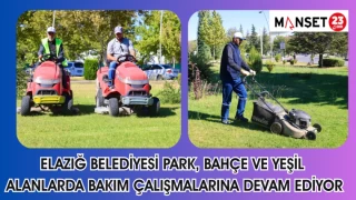 PARK, BAHÇE VE YEŞİL ALANLARDA BAKIM ÇALIŞMALARI DEVAM EDİYOR