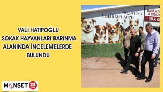 VALİ HATİPOĞLU SOKAK HAYVANLARI BARINMA ALANINDA İNCELEMELERDE BULUNDU