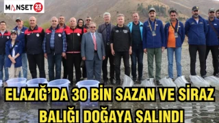 ELAZIĞ’DA 30 BİN SAZAN VE SİRAZ BALIĞI DOĞAYA SALINDI