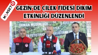GEZİN’DE ÇİLEK FİDESİ DİKİM ETKİNLİĞİ DÜZENLENDİ