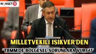 MİLLETVEKİLİ IŞIKVE'DEN "TBMM'DE BÖLGESEL SORUNLARA VURGU"