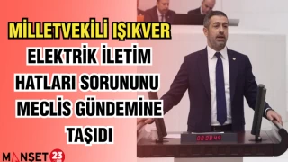 MİLLETVEKİLİ IŞIKVER, ELEKTRİK İLETİM HATLARI SORUNUNU MECLİS GÜNDEMİNE TAŞIDI