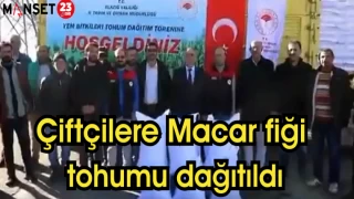 Çiftçilere Macar fiği tohumu dağıtıldı