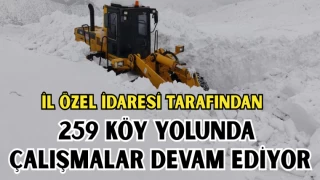 İL ÖZEL İDARESİ tarafından, 259 Köy Yolunda Çalışmalar Devam Ediyor
