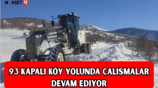 93 KAPALI KÖY YOLUNDA ÇALIŞMALAR DEVAM EDİYOR