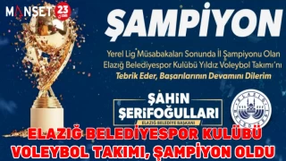 Elazığ Belediyespor Kulübü Voleybol Takımı, Şampiyon Oldu