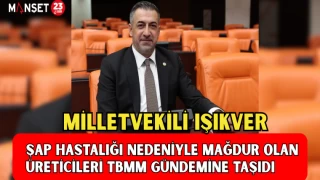 MİLLETVEKİLİ IŞIKVER, ŞAP HASTALIĞINA MARUZ KALAN ÜRETİCİLERİN MAĞDURİYETLERİNİ TBMM GÜNDEMİNE TAŞIDI