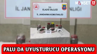 PALU'DA UYUŞTURUCU OPERASYONU