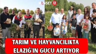 TARIM VE HAYVANCILIKTA ELAZIĞ'IN GÜCÜ ARTIYOR