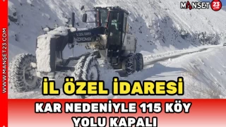 İl Özel İdaresi: Kar Nedeniyle 115 Köy Yolu Kapalı