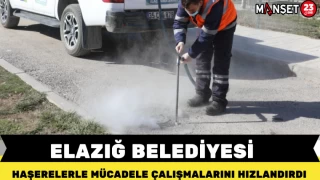 ELAZIĞ BELEDİYESİ HAŞERELERLE MÜCADELE ÇALIŞMALARINI HIZLANDIRDI