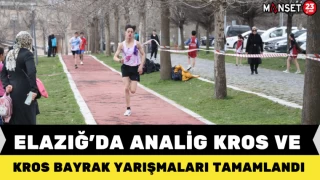 ELAZIĞ’DA ANALİG KROS VE KROS BAYRAK YARIŞMALARI TAMAMLANDI