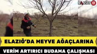 Elazığ’da Meyve Ağaçlarına Verim Artırıcı Budama Çalışması