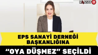 EPS Sanayi Derneği Başkanlığına Oya Düşmez Seçildi