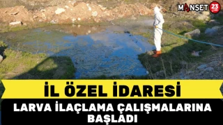 İL Özel İdaresi Larva İlaçlama Çalışmalarına Başladı